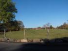 The field off of Adams St.  No horses today.