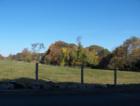 The field off of Adams St