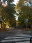 The Lexington bike trail from Chestnut street going west.