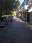 Looking up Mass Ave