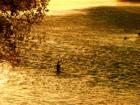 Sundial Fisherman--David Gendron