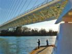 Kids at Sundial Bridge--David Gendron