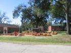 Smithville's pumpkin patch!