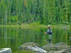 Fly Fishing--David Gendron