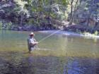 Fly Fishing--David Gendron