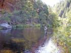 Fly Fishing--David Gendron