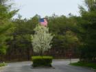 Longtree Pond Entrance