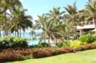 A view from Turtle Bay Resort