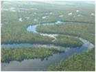 The beautiful Peace River flows through southern Desoto county.