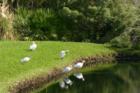 Marsh Creek Country Club