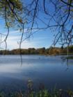 A sunny afternoon on Diamond Lake in Minneapolis.