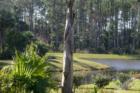 Plantation Bay Golf & Country Club