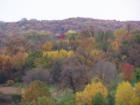 Fall color in Burnsville, just off CR42