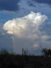 Tucson Thundercloud