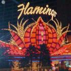 Flamingo Hotel - Dominic Naidoo Santa Monica Real Estate Expert