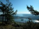 Deception Bay through the trees taken from Mt Erie. Photo taken by Ryan Martin – Anacortes real estate agent 