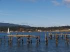 Guemes Island taken from N Ave Park. Photo taken by Ryan Martin – Anacortes real estate agent