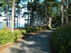 One way road in Washington Park. Photo taken by Ryan Martin – Anacortes real estate agent