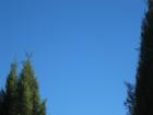If you look closely, you will see a "ribbon" in the sky, but it's really a formation of flying birds.  Spectacular.