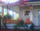 Pumpkin House