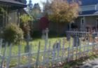 Capitol Way Haunted Yard