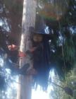 South Capitol Neighborhood Halloween Witch