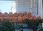 The Pumpkin House Crop