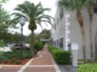 Beautiful sidewalk in redeveloped downtown Daytona Beach; historic district.