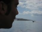 a Whale tail between Molokini and Wailea
