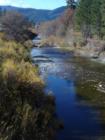 Hayfork Creek--David Gendron