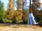 Hayfork Gemini Capsule--David Gendron