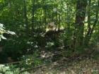 Benjamin Gault Bird Sanctuary - It'a amazing how you can drive by a place all your life and then discover something so peaceful.  This sanctuary is in North Glen Ellyn on Main Street.