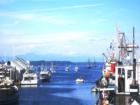 Olympia Harbor Days 2007