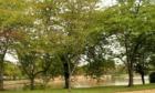 The Tidal Basin