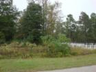 Typical Lot, Montgomery Trace, Montgomery, Texas