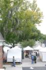 Mount Dora. Arts & Crafts Show 2007