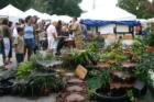 Mount Dora. Arts & Crafts Show 2007