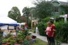Mount Dora. Arts & Crafts Show 2007