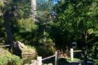 San Francisco Gary Bland R (S)
Hawaii Realtor Century 21 All Islands
www.garybland.com