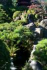 San Francisco Gary Bland R (S)
Hawaii Realtor Century 21 All Islands
www.garybland.com