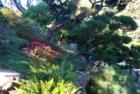 San Francisco Gary Bland R (S)
      Hawaii Realtor Century 21 All Islands
      www.garybland.com