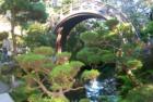 San Francisco Gary Bland R (S)
Hawaii Realtor Century 21 All Islands
www.garybland.com