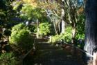 San Francisco Gary Bland R (S)
Hawaii Realtor Century 21 All Islands
www.garybland.com
