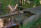 San Francisco Gary Bland R (S)
Hawaii Realtor Century 21 All Islands
www.garybland.com