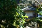 San Francisco Gary Bland R (S)
Hawaii Realtor Century 21 All Islands
www.garybland.com