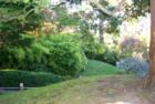 San Francisco Gary Bland R (S)
Hawaii Realtor Century 21 All Islands
www.garybland.com
