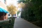 San Francisco Gary Bland R (S)
Hawaii Realtor Century 21 All Islands
www.garybland.com