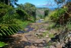 Kahakuloa  Gary Bland R (S)
      Hawaii Realtor Century 21 All Islands
      <a href="http://www.garybland.com">http://www.garybland.com</a>
      
      <a href=" http://www.realestatemaui.us">Visit my Maui Real Estate weblog.</a>