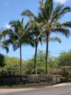 Diamond Resort Gary Bland R (S)
      Hawaii Realtor Century 21 All Islands
      <a href="http://www.garybland.com">http://www.garybland.com</a>
      
      <a href=" http://www.realestatemaui.us">Visit my Maui Real Estate weblog.</a>
      