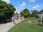 A clear, bright and sunny afternoon at the Redland's Fruit and Spice Park.